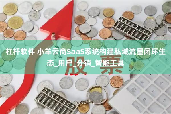 杠杆软件 小羊云商SaaS系统构建私域流量闭环生态_用户_分销_智能工具