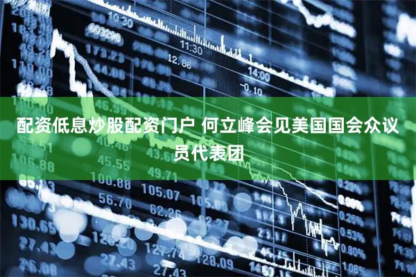 配资低息炒股配资门户 何立峰会见美国国会众议员代表团